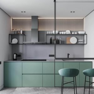 top modular kitchen delhi noida magazine 14947 modular-kitchen-designs-straight-kitchens-in-delhi-gurgaon-noida-india (6)
